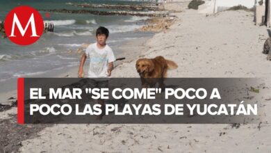 Playas de Yucatán erosionadas por el cambio climático