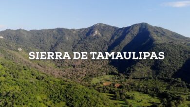 Descubre la naturaleza virgen de la Sierra de Tamaulipas