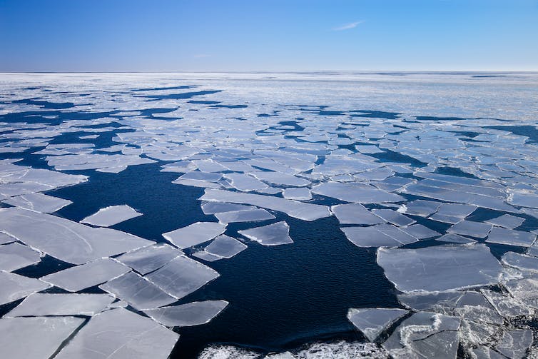 Bloques de hielo marino derretido que revelan un mar azul profundo.