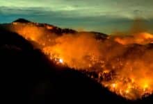 El cambio climático es fundamental para los incendios forestales de California