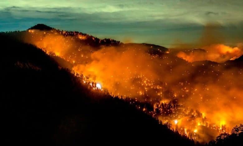 El cambio climático es fundamental para los incendios forestales de California