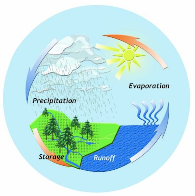 Ilustración que muestra un bucle de precipitación, evaporación, escorrentía y almacenamiento