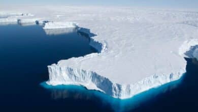 Las plataformas de hielo de la Antártida han perdido millones de toneladas métricas de hielo