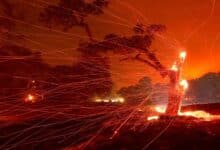 Rápidos incendios forestales en California impulsados ​​por el cambio climático