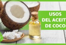 Beneficios del aceite de coco 🥥✅ (propiedades, usos y contraindicaciones)