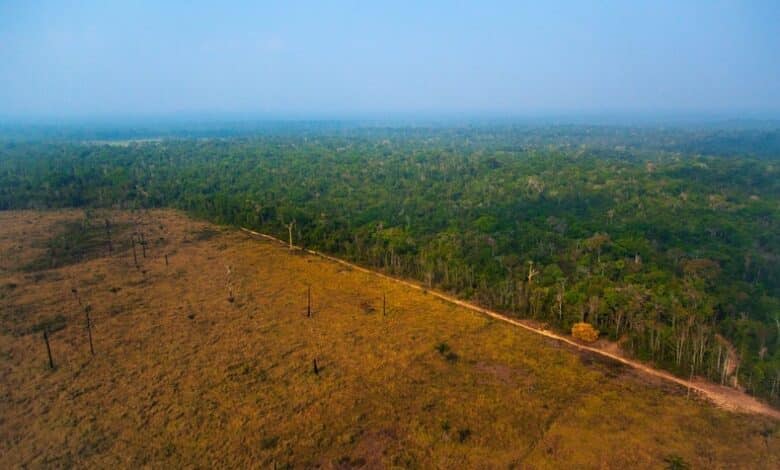 La deforestación del Amazonas cae donde la tierra está bajo control indígena