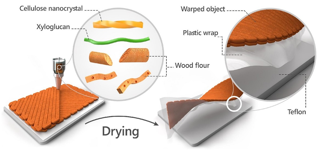 un diagrama que muestra el proceso que hace que la madera impresa en 3D se seque en forma helicoidal