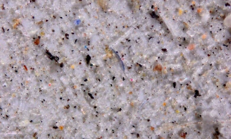 Miles de toneladas de microplásticos caen del cielo