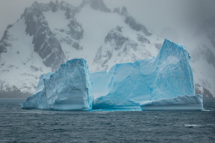 Un iceberg azul con masa terrestre antártica al fondo.