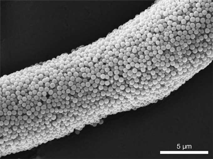una imagen microscópica de muchas bolas diminutas agrupadas para formar una cerda