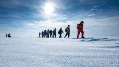 La crisis del coronavirus afecta a la expedición de investigación del Ártico bloqueada por el hielo