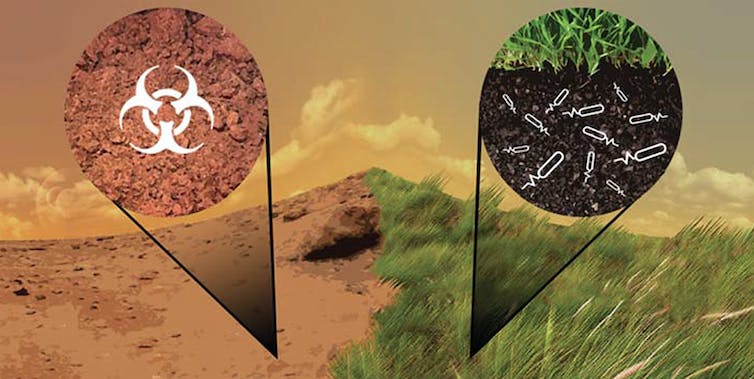 una ilustración que muestra un paisaje rojizo, árido y tóxico que incluye un símbolo de desechos tóxicos a la izquierda y un paisaje verde, fértil y exuberante a la derecha con una sección transversal de un suelo sano y lleno de bacterias