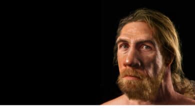 Los neandertales se parecían mucho a nuestros ancestros humanos