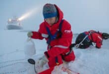 Congelada en hielo menguante, una expedición histórica encuentra un "nuevo Ártico"