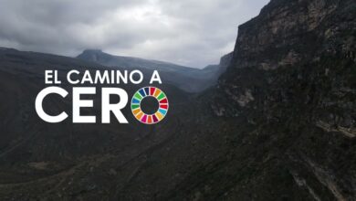 El Camino a Cero, la estrategia de Colombia para combatir el cambio climático
