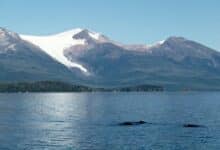 Sin hielo en Alaska - Scientific American Blog Network