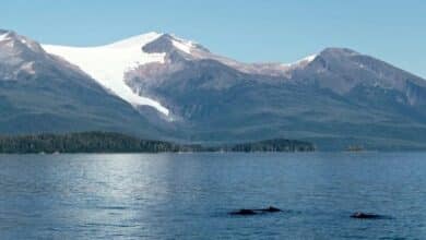 Sin hielo en Alaska - Scientific American Blog Network