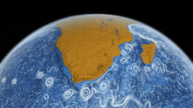 Cambio climáticoUna visión más nítida de los océanos del mundoLos modelos del comportamiento de los océanos con mayor resolución espacial podrían conducir a predicciones climáticas más precisas 13 de noviembre de 2019 — Conor Purcell y la revista Nature