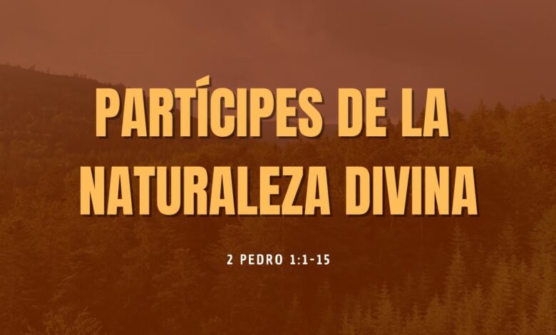 Estudio bíblico | El partícipe de la naturaleza divina - reflexión.