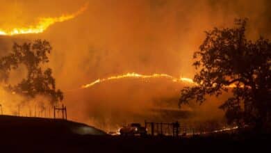 Las empresas de servicios eléctricos no pueden culpar de los incendios forestales únicamente al clima, dicen los expertos