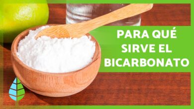 Beneficios del Bicarbonato de Sodio 🥣 (Propiedades, Usos y Modo de Empleo)