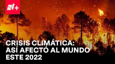 La Crisis Climática de 2022: Contabilidad de la Catástrofe Ambiental - En Punto