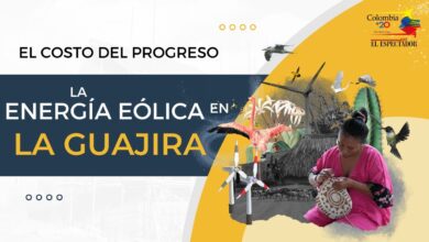 Energía eólica: manzana de la discordia del pueblo Wayúu de La Guajira | Colombia +20