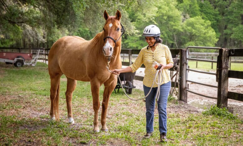 Los caballos inspiran a este robotista a construir robots confiables