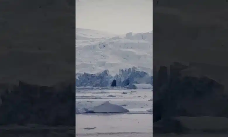Las causas del cambio climático #tierra #historia #documental